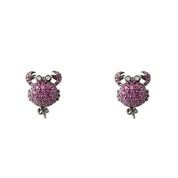 Bicolor Silver Earrings