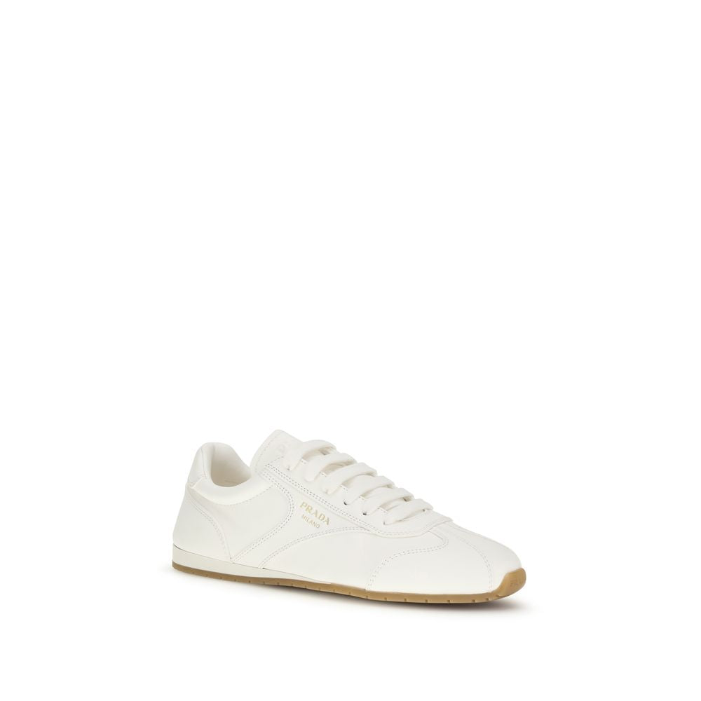 Beige Lamb Ovis Aries Aries Low Top Sneakers