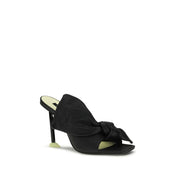 Black Lamb Ovis Aries Aries Mules