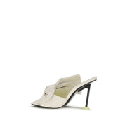 White Lamb Ovis Aries Aries Mules