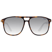 Brown Men Sunglasses