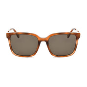 Brown Acetate Sunglasses