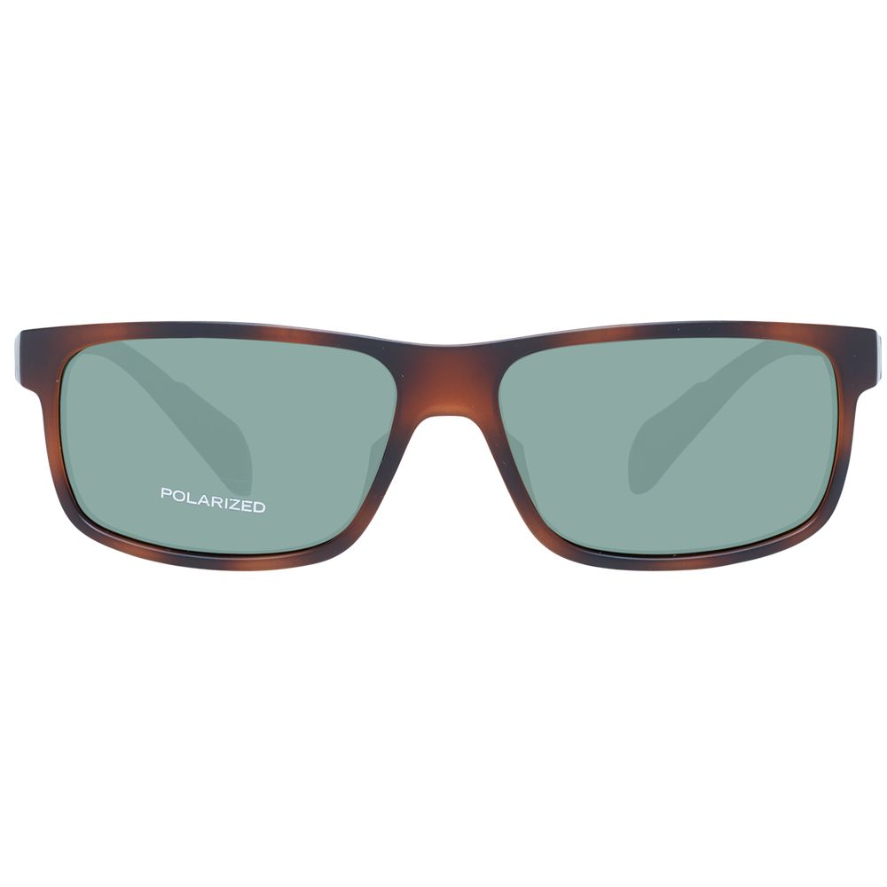 Brown Men Sunglasses