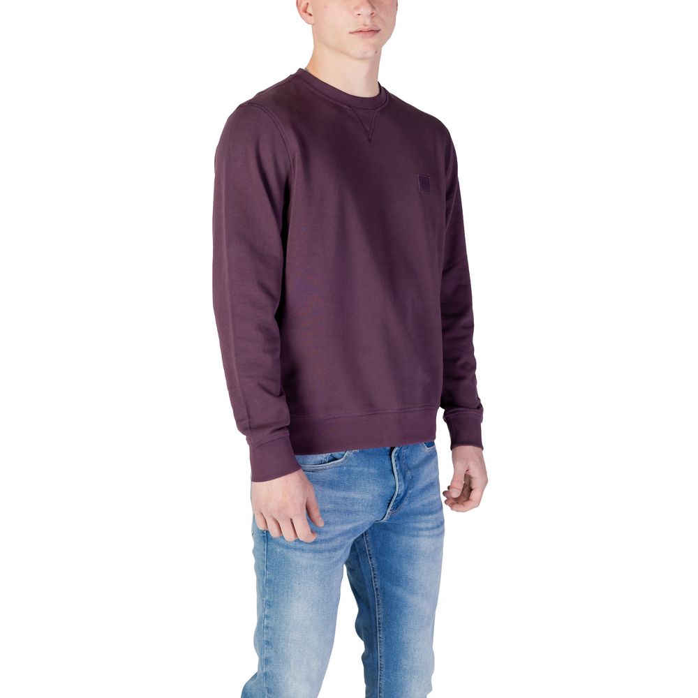 Purple Cotton Sweater