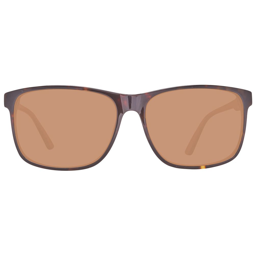 Brown Plastic Sunglasses