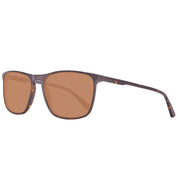 Brown Plastic Sunglasses