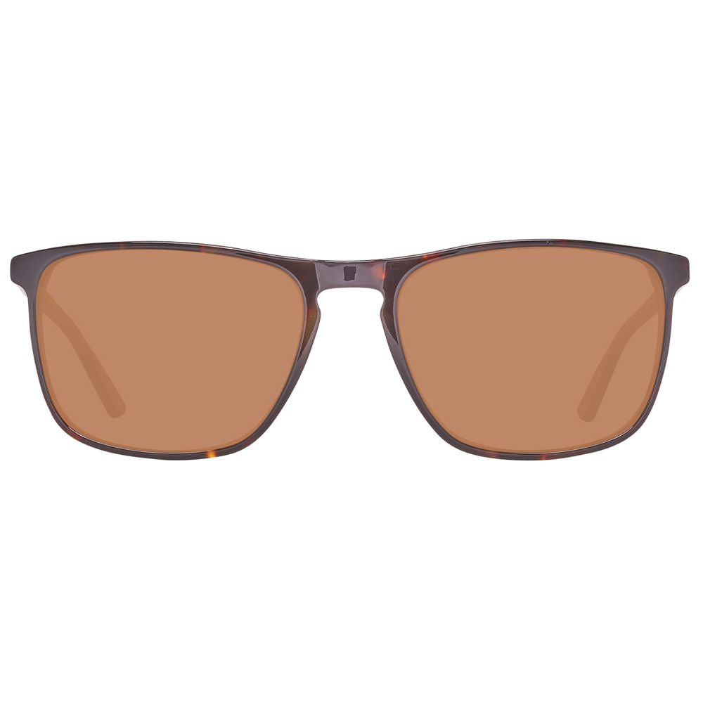 Brown Plastic Sunglasses