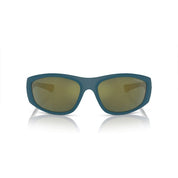 Blue Resin Sunglasses