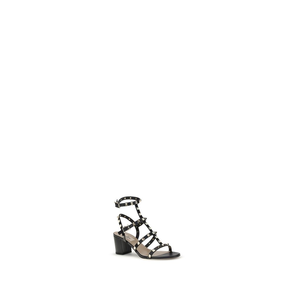 8329021.jpg