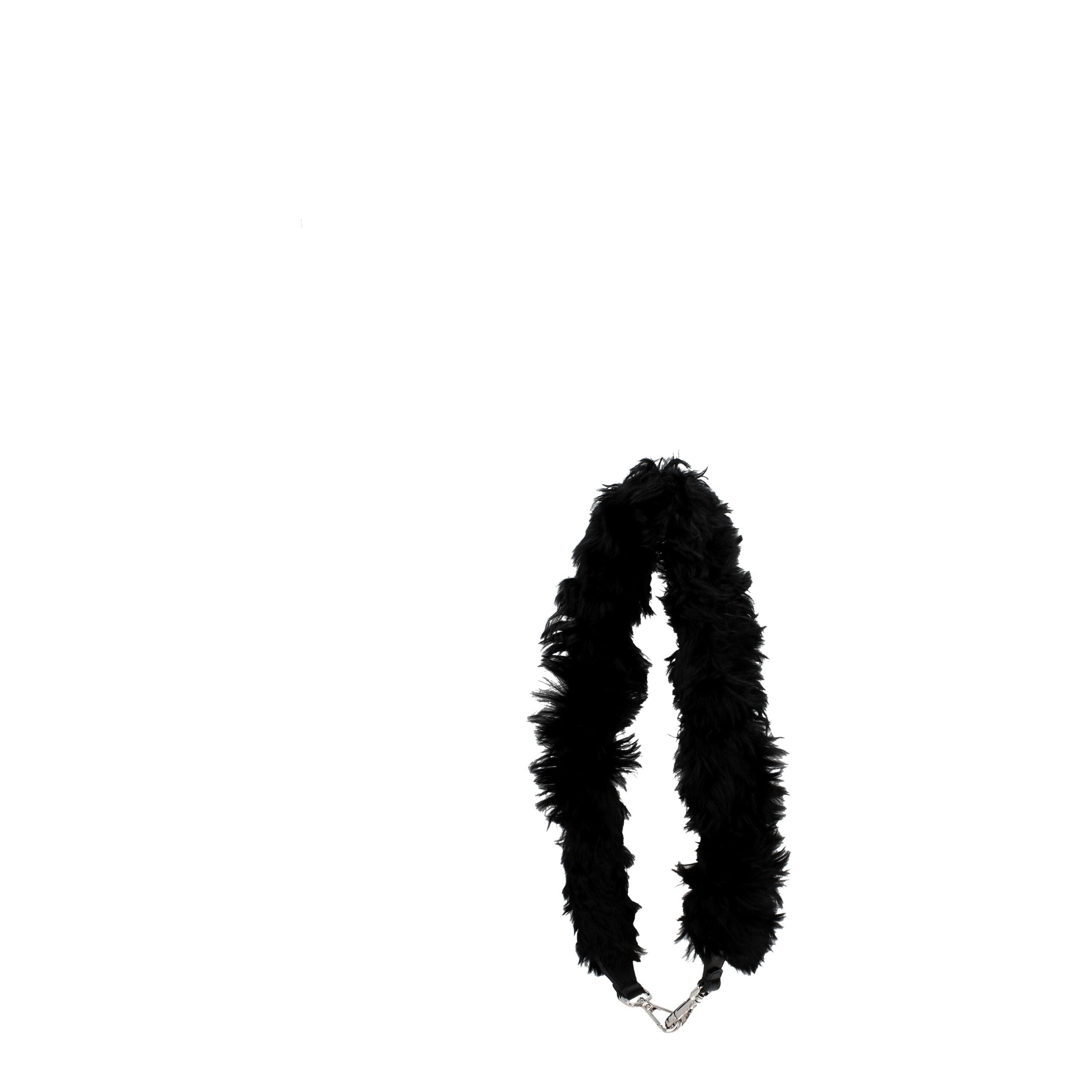 8334211.jpg