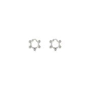 EARRINGS 1338