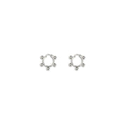 EARRINGS 1338