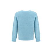Light Blue Alpaca Vicugna Pacos Sweatshirt