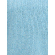 Light Blue Alpaca Vicugna Pacos Sweatshirt